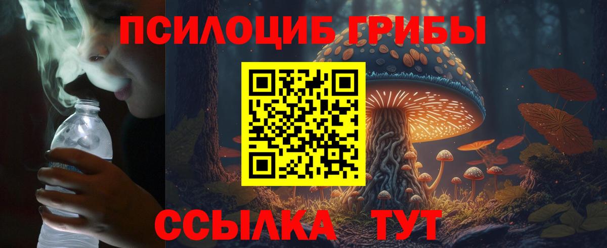 Псилоцибиновые грибы прущие грибы  Вход с VPN  Минеральные Воды 